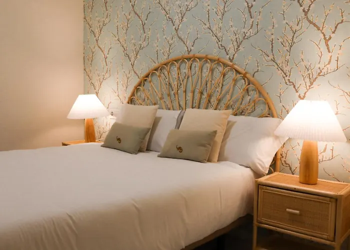 Monkeys Apartments San Bernardo